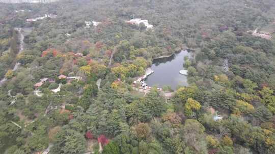 航拍山东青岛城市风光青岛建设