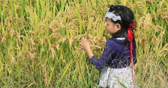 女孩在稻田中玩耍