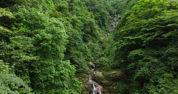 航拍都江堰龙池自然保护区瀑布山林风景