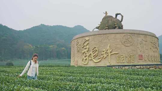 实拍视频 美女西湖龙井茶园