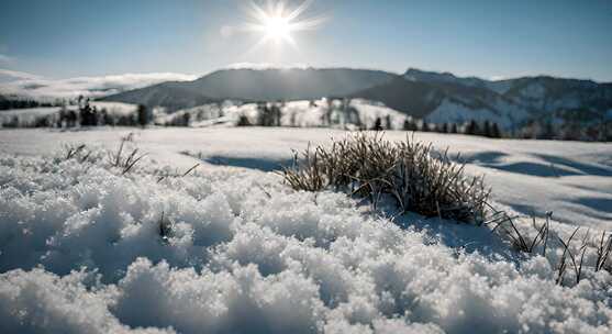 冬天雪地特写雪天风景下雪风光唯美冬季雪景