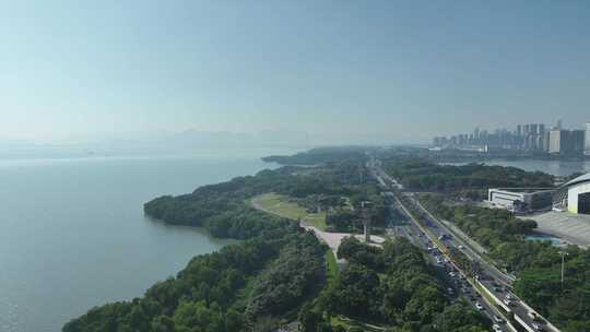 深圳湾公园航拍红树林海滨生态公园城市生态