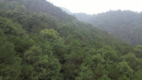 航拍重庆南山泉山步道，山脉，森林