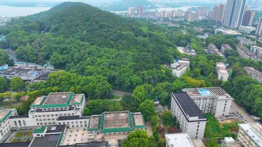 湖北武汉大学文理学部校区航拍校园珞珈山风视频素材模板下载