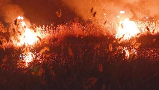 火灾大火山火现场视频素材模板下载