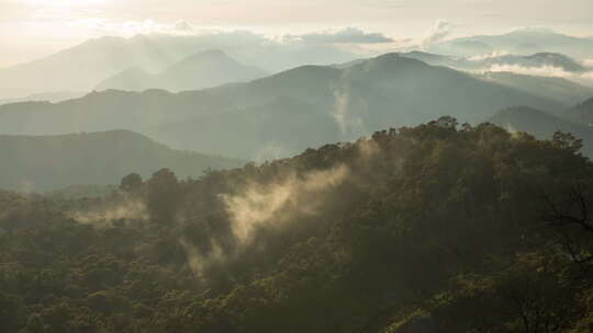 森林山脉风景云雾树林自然山谷黎明阳光