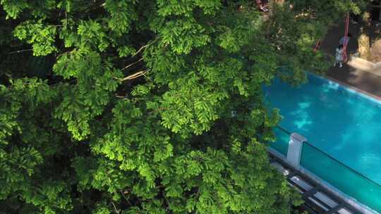 原创拍摄游泳池水边树林青山绿水