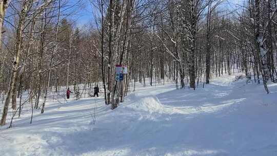 在冬季森林滑雪的人