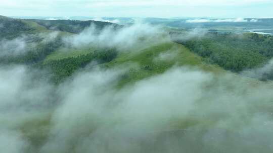 高山森林湿地云海云雾