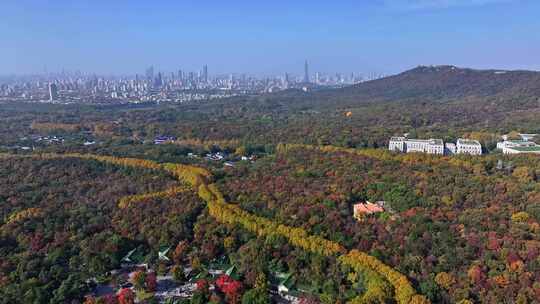 江苏南京中山陵灵山风景区音乐台秋色航拍