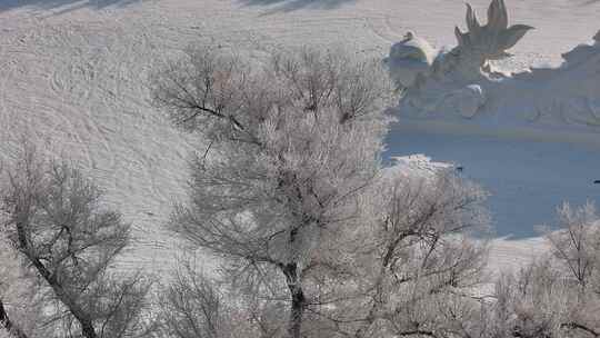 雾凇覆盖的树林与乡村雪景