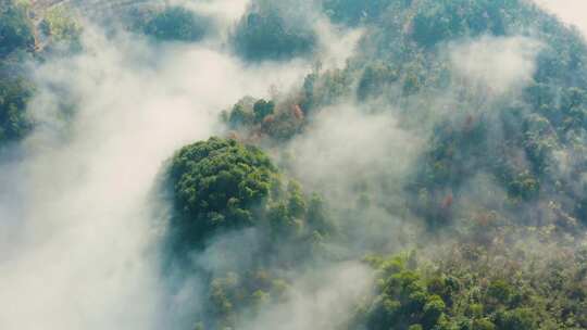 高山森林晨曦云海晨雾生态环境航拍