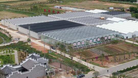 农业大棚种植基地俯瞰