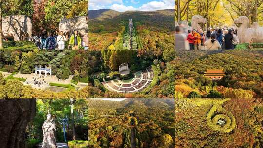 2025 明孝陵 中山陵 美龄宫 音乐台 石象路高清在线视频素材下载