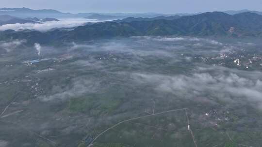 茶园平流雾航拍