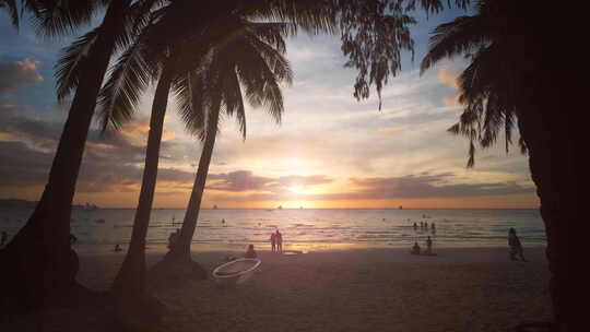 海滩上的日落与人和棕榈树