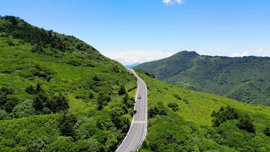 湖北神农架车辆在公路行驶航拍4K