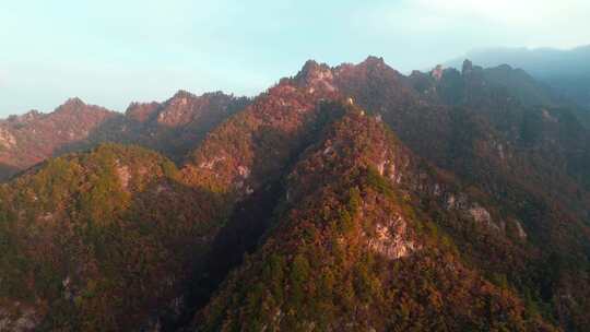 秋季森林自然风景实拍