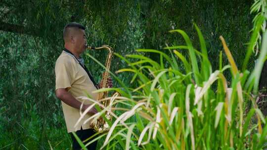 塞克斯独奏音乐爱好公园退休艺术