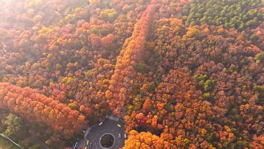 南京钟山风景区秋景