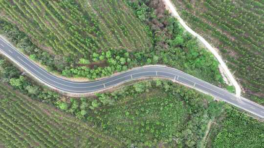 海南环岛旅游公路俯拍