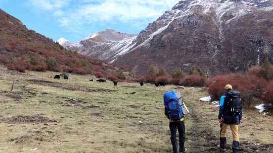 攀登岷山山脉雪宝顶雪山的登山者徒步进山