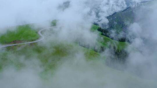 云雾中的草原森林