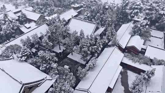 航拍洛阳白马寺雪景