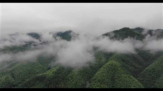 皖南黟县雨后自然风光航拍宣传片