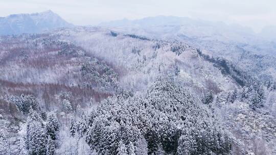 航拍山王坪冬天雪景