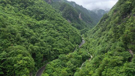 湖北神农架G209峡谷公路森林风光