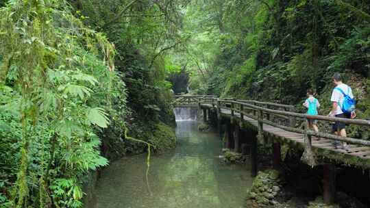 成都青城山后山峡谷森林步道溪流自然景观