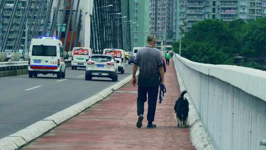 大桥上行走的男人和狗