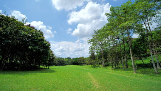 蓝天阳光草坪公园草地绿地