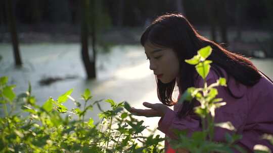 美女蹲在森林河边感受自然的女孩融入自然
