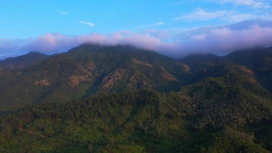 航拍坪山夕阳照耀山脉高山树木山花