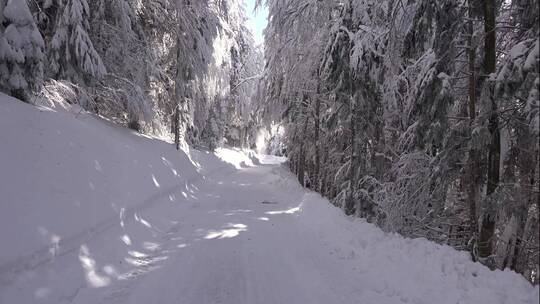 东北深山森林树林树上道路上的积雪