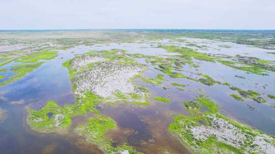 新疆阿勒泰乌伦古湖沼泽湿地自然风景航拍