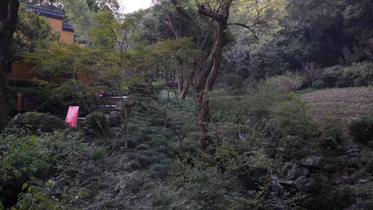 杭州飞来峰永福寺禅院风景