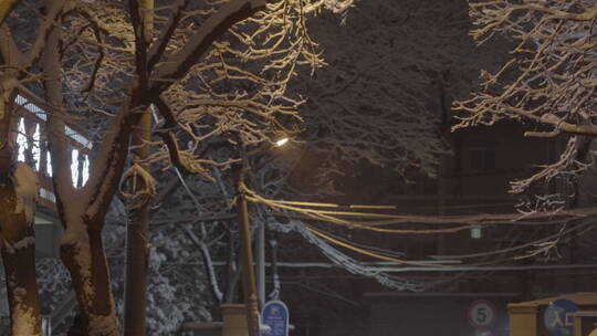 城市冬天雪景 夜晚雪景视频素材模板下载