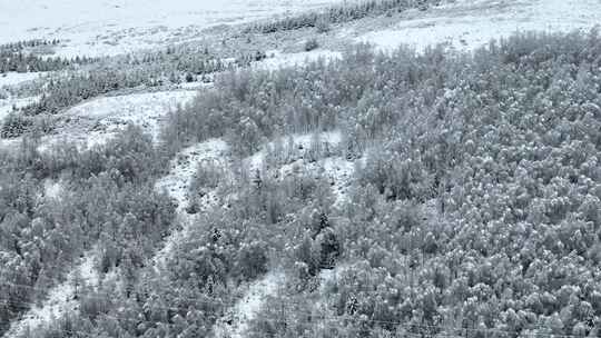 阿坝州松潘古城雪景素材