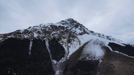 冬天雪中 美丽的山峰森林树木河流 特写