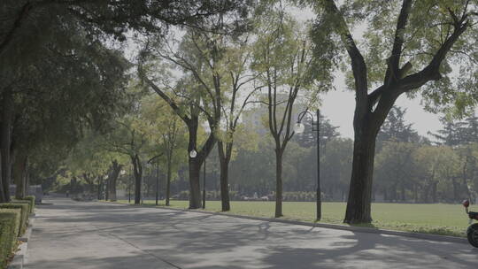 北京清华大学 清华校园