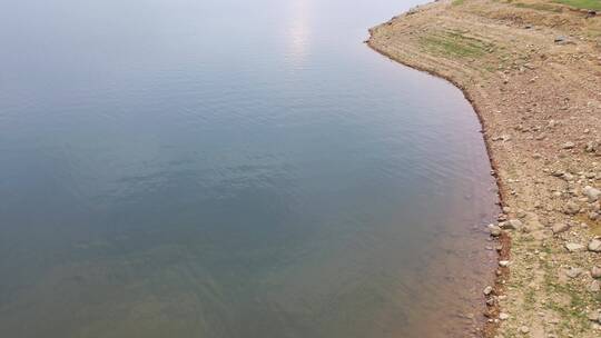 河边水边岸边俯拍河岸边水面白鹭生态湖飞鸟