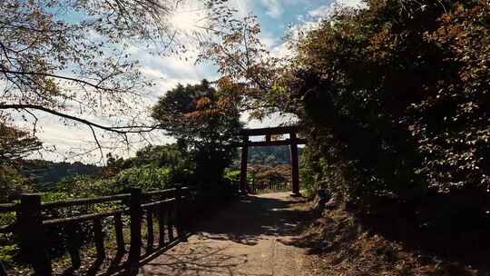 穿越日本山中的一扇门