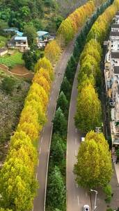 人生南北多歧路，君向潇湘我向秦，治愈风景