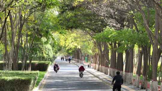 宁夏中卫香山公园秋季景色