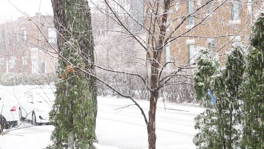 暴雪中的城市街道建筑树木车辆