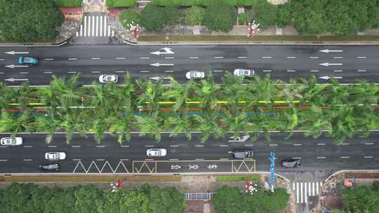 俯拍城市大道绿化交通航拍
