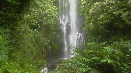 热带瀑布流经茂密的雨林